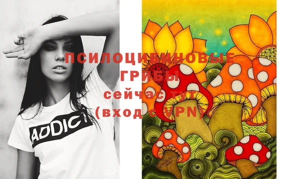 таблы Алзамай