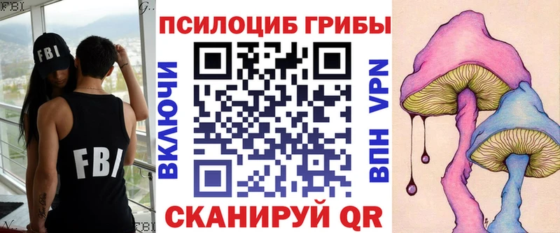 закладка  Грайворон  Псилоцибиновые грибы Magic Shrooms 